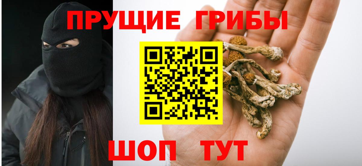Галлюциногенные грибы Psilocybe  Вход с VPN  Кострома 